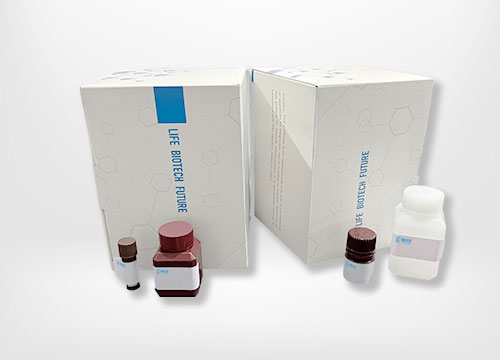 磷脂酶C(PLC)检测试剂盒 ; 50管/48样