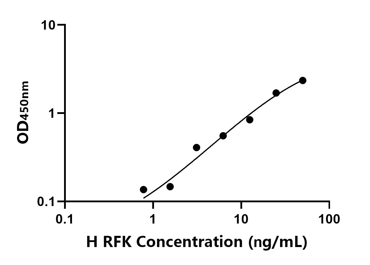 人核黄素激酶(RFK)ELISA试剂盒